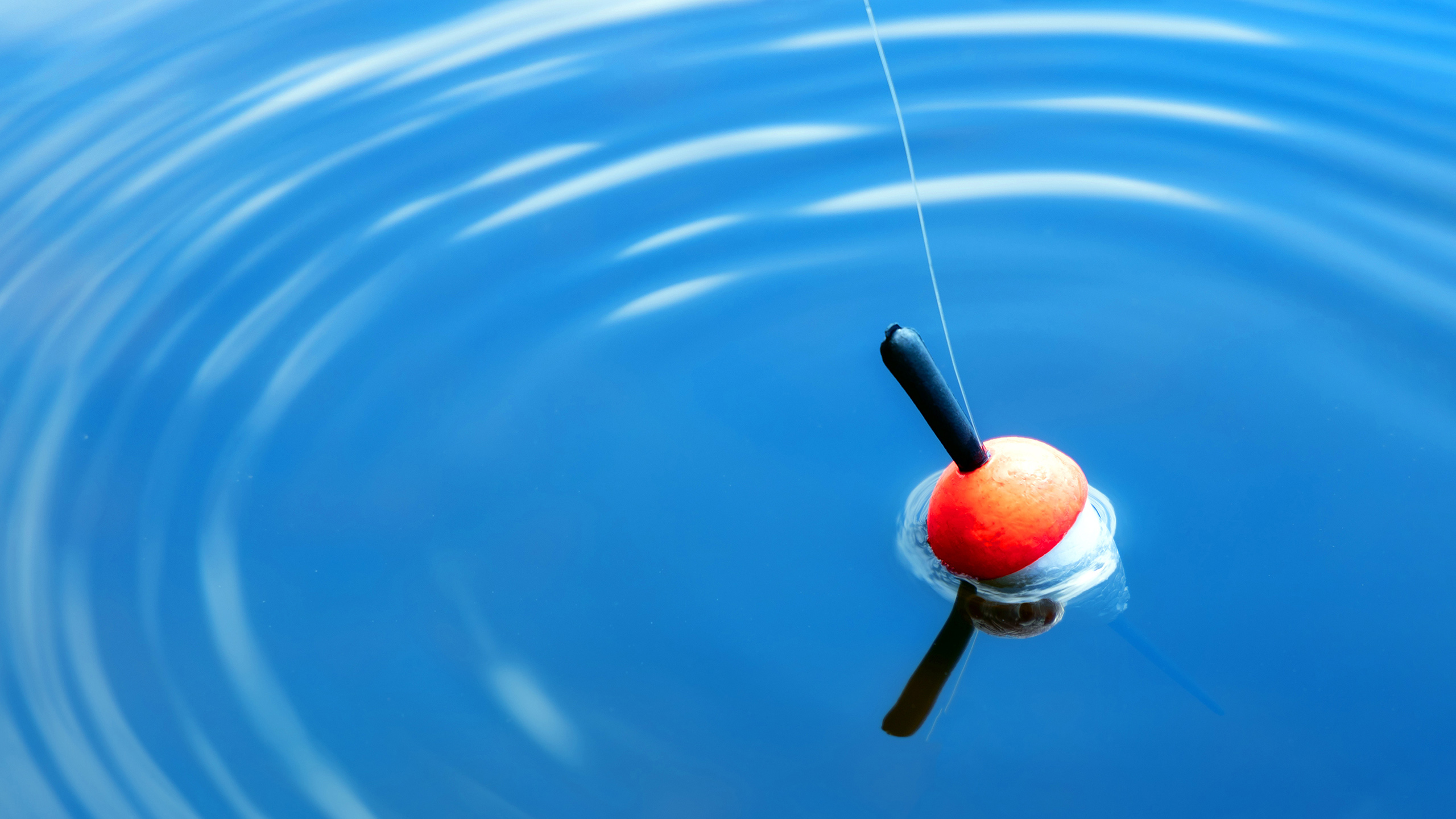 “Teach a Person to Fish … - Operations Research Graduate Program